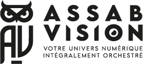 ASSAB VISION